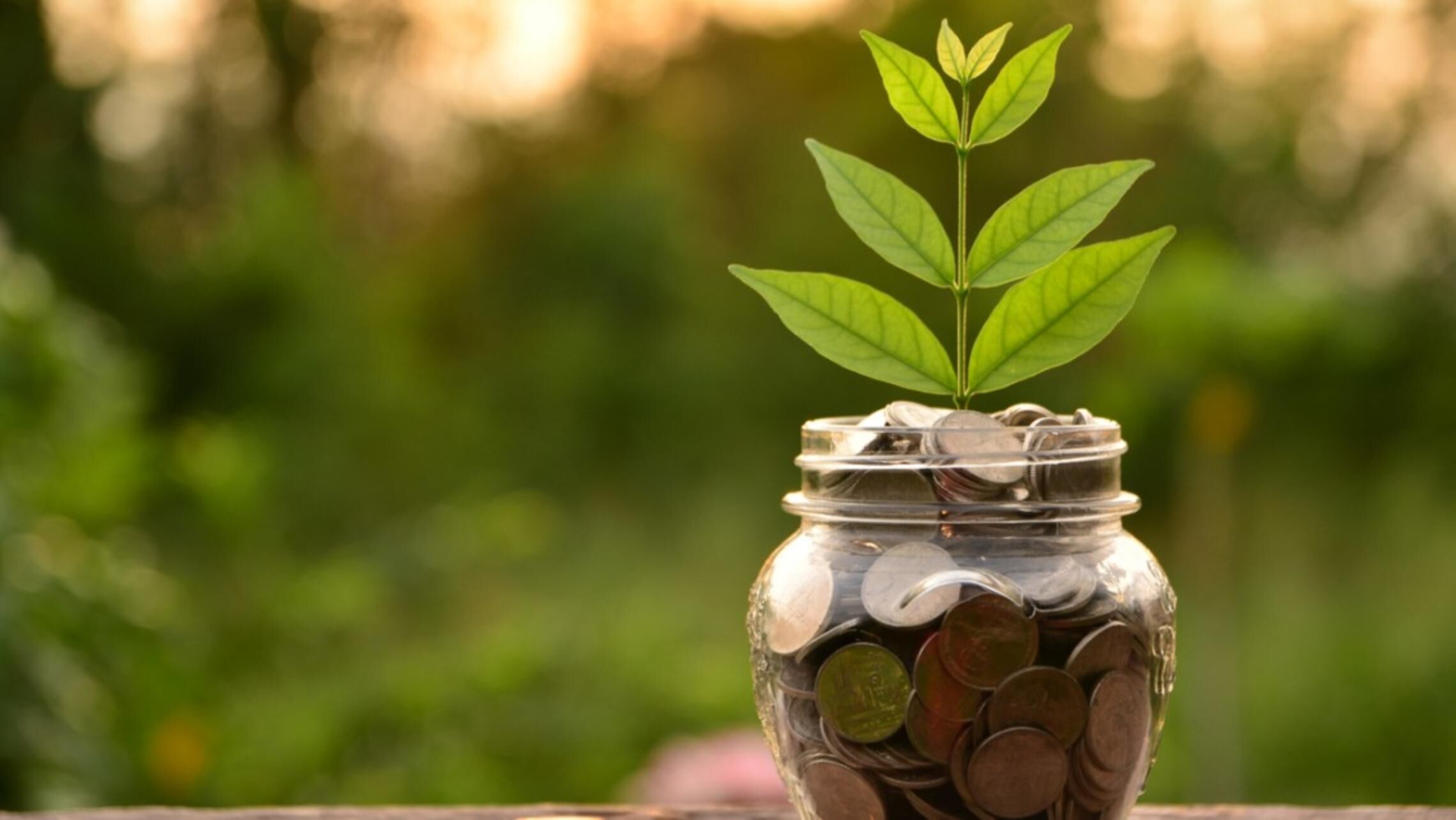 Changing Businesses Approach to Climate Solutions